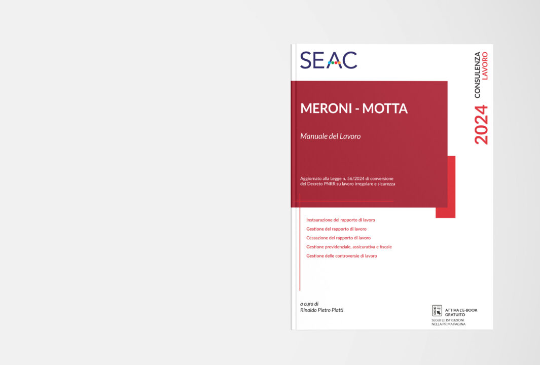 NUOVO | MERONI MOTTA – Manuale Del Lavoro